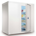 Customized agriculture freezer room cold storage